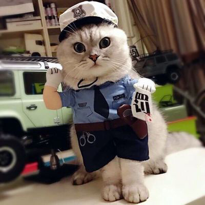 猫咪警察搞笑衣服直立装搞怪开罚单泰迪狗狗变身宠物两脚站立装 宠物/宠物食品及用品 狗宠物服装/雨衣 原图主图