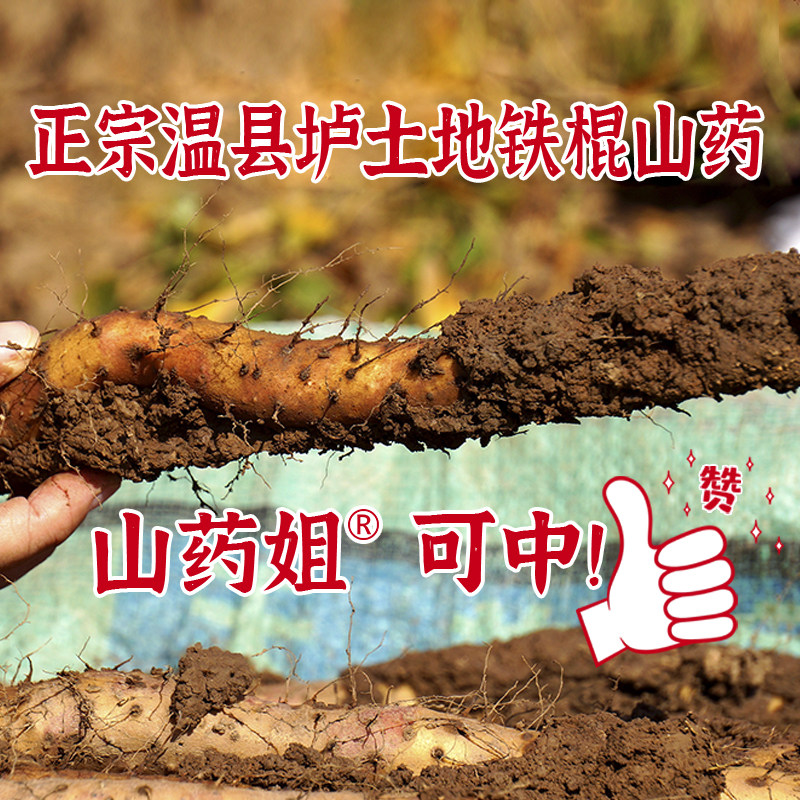 温县垆土铁棍山药正宗温县怀山药新鲜山药农家种植铁淮山3斤