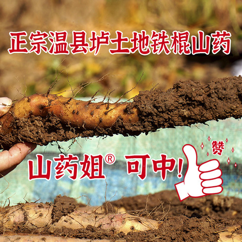 山药姐焦作温县垆土铁棍正宗怀山药河南特产粉糯面山药5斤简装 - 封面