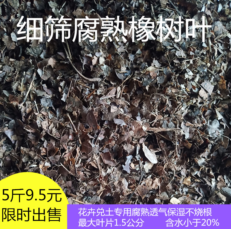 腐熟橡树叶,柞树叶,君子兰花土配合料腐叶土腐熟松针腐殖质种花土