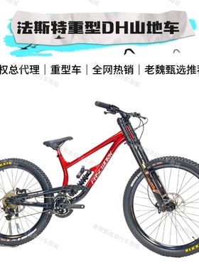 新款FASTWORK法斯特DH自行车高强度速降山地车速降车/法斯特f200
