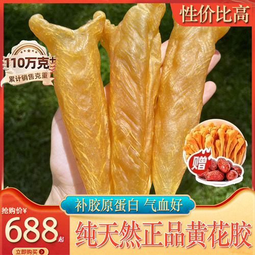 纯天然黄花胶补气血补胶原蛋白