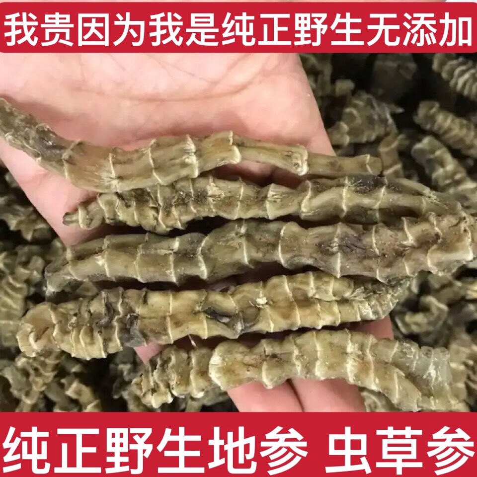 云南沙溪地参虫草参干货500克地竹节参泽兰根新货地龙菜煲汤