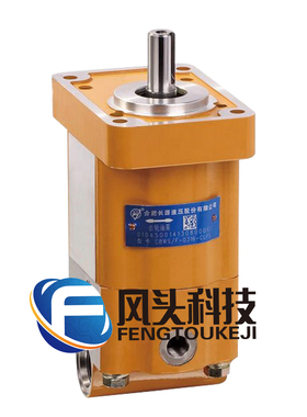 供应液压齿轮泵CBWS-F-D-series-of-304-306双联齿轮泵