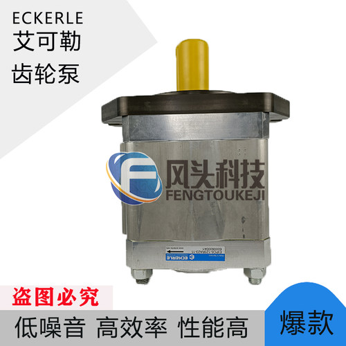 现货原装ECKERLE艾可勒齿轮泵EIPC6-125RA23-11注塑机压铸机油泵