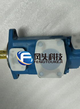 SCENERY塞纳瑞液压油泵S3520V25A3-1AA22R双联注塑机定量叶片泵