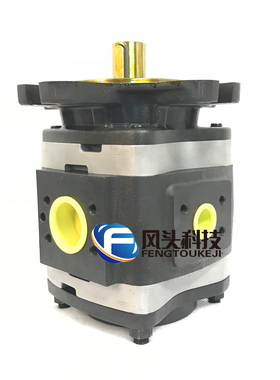 德国福伊特VOITH原装进口IPVAP6-100 101高压内齿轮泵油泵