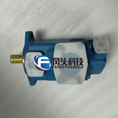 SCENERY塞纳瑞液压油泵S2520V21A14-1AA22R双联注塑机定量叶片泵