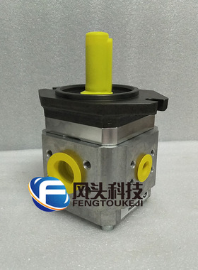 德国艾可勒ECKERLE液压齿轮泵890-EI-0250-RK2-C313注塑机油泵