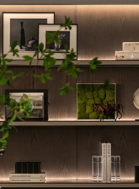 【可开发票】博古架苔藓植物装置