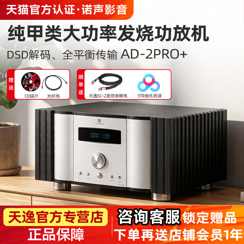 Winner/天逸 AD-2PRO+ 纯甲类大功率发烧DSD解码功放机HIFI全平衡
