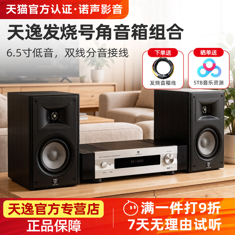 天逸童笛S6发烧级hifi音箱功放套装6.5寸高保真号角音响CD机组合