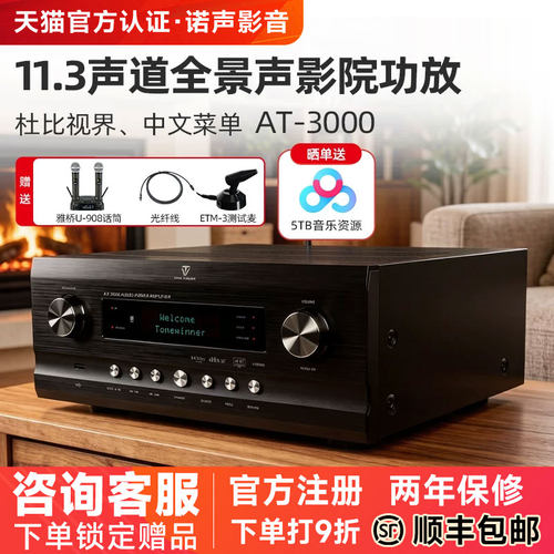 天逸AT-3000家庭影院11.3功放机