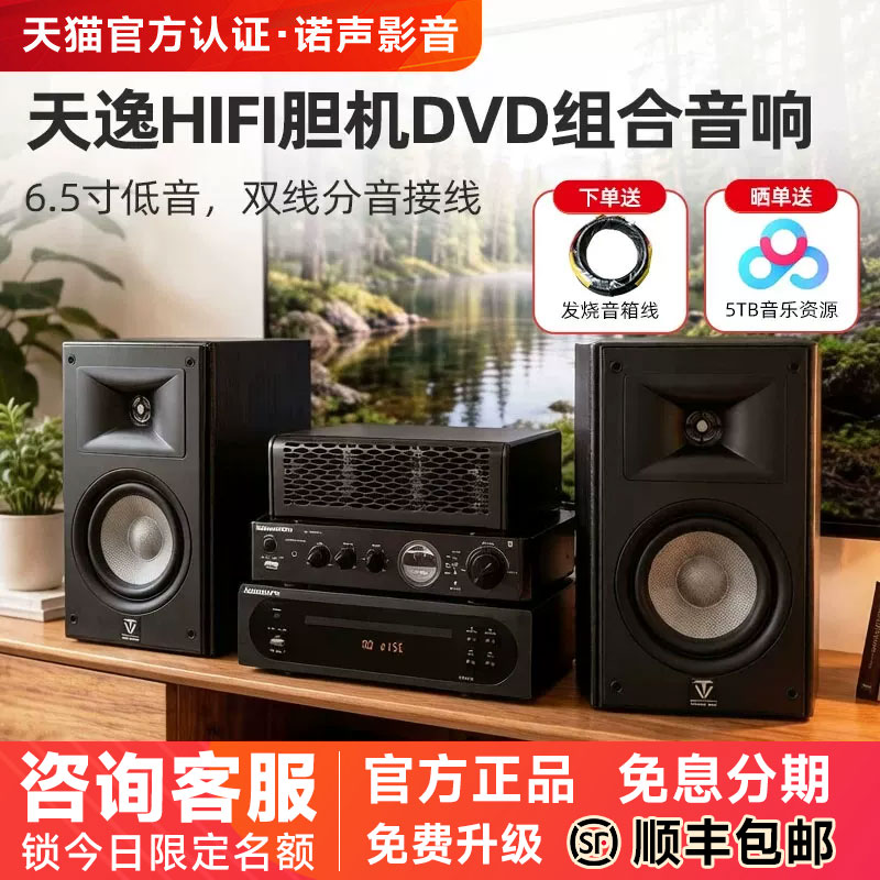 天逸童笛S6发烧级hifi音箱胆机套装6.5寸高保真号角音响DVD机组合
