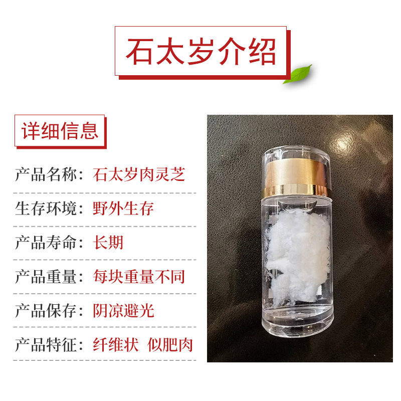 长白山溶洞野生石太岁肉灵芝太岁肉整体泡水50g礼盒的功效作用