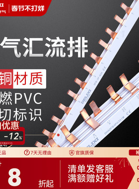 德力西汇流排2p空气开关铜排回路单匹1p接线端子导流排连接片条