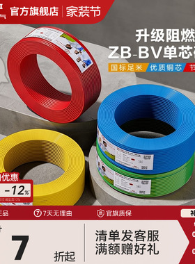 德力西电线铜芯铜线B阻燃bv单芯硬线2.5 4 6 10平方家装国标电缆