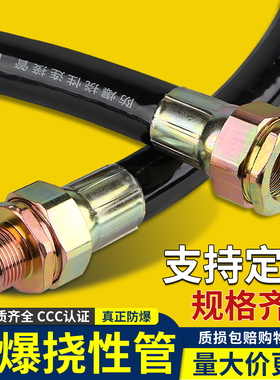 BNG防爆软管挠性连接管4/6分防爆绕线管DN20防爆扰性穿线接线软管