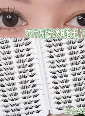 新款新品不朽情缘睫毛免胶薄片大容量单簇分段眼睫毛自然浓密嫁接