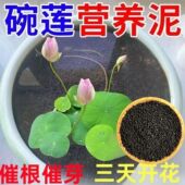 碗莲陶粒砂营养泥高肥力不臭水不浑水造景睡莲铜钱草铺底造景底砂