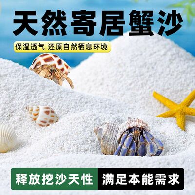 【寄居蟹专用沙】天然垫材贝壳沙免洗鱼缸造景珊瑚沙子菲律宾白沙
