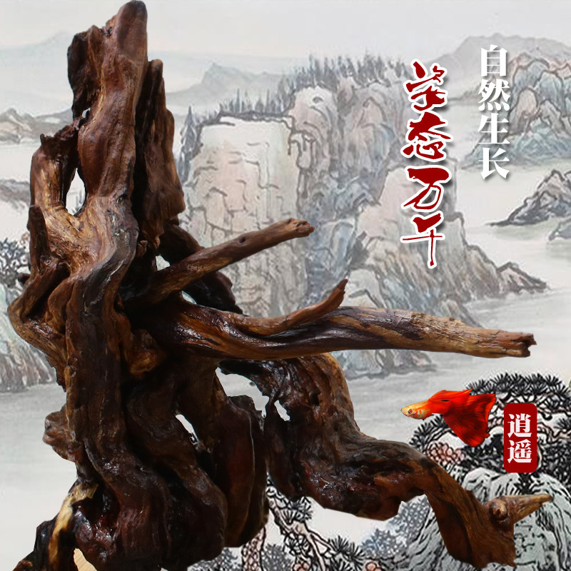 鱼缸装饰天然沉木树根造景木头奇特造型水草杜鹃根树枝树形包邮