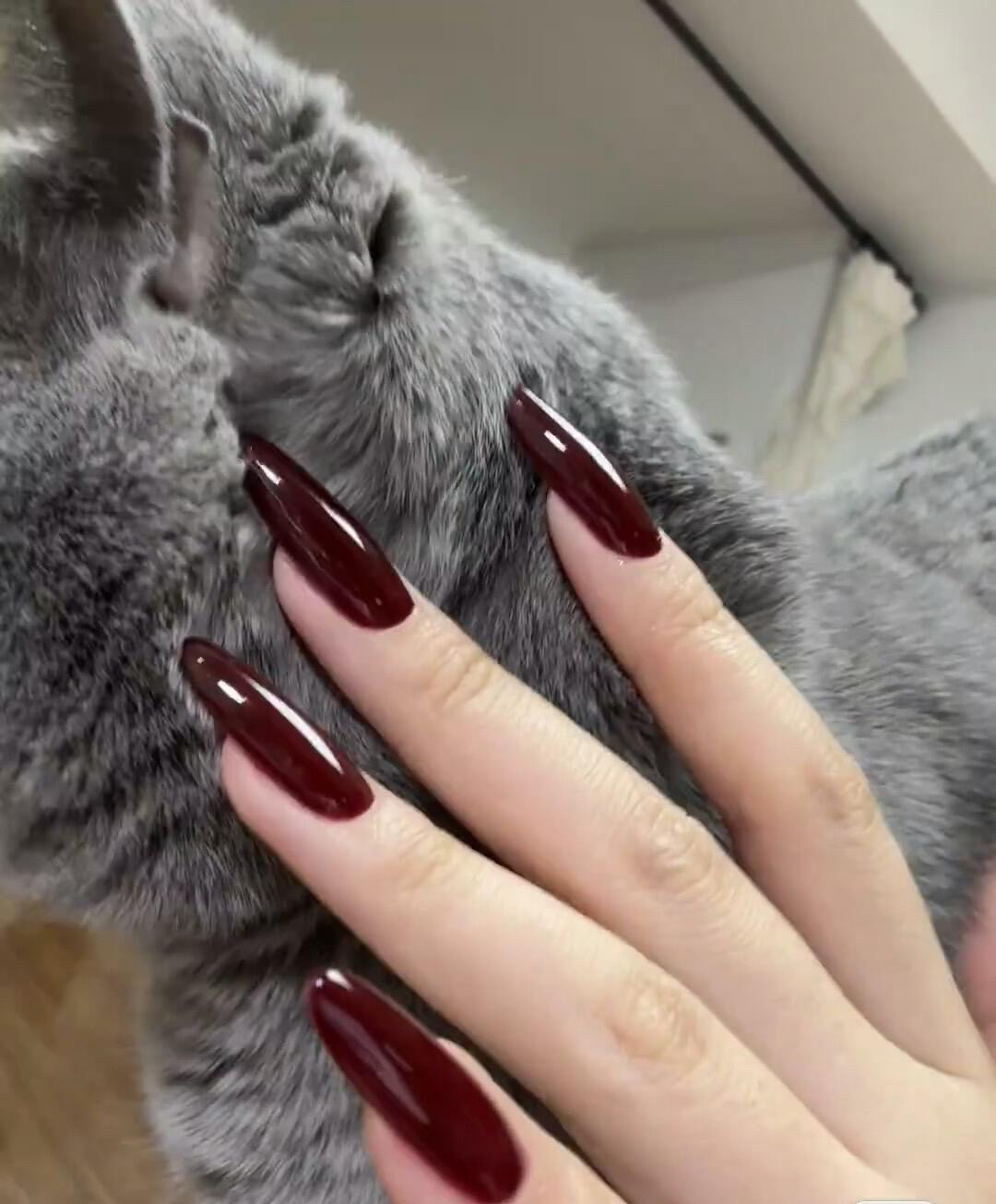 2025秋冬新款手工穿戴甲中长款红色美甲辣妹哥特风显白纯欲风高级,彩妆/香水/美妆工具,穿戴甲/甲片,淘宝优惠券,粉丝福利购,淘宝优惠卷