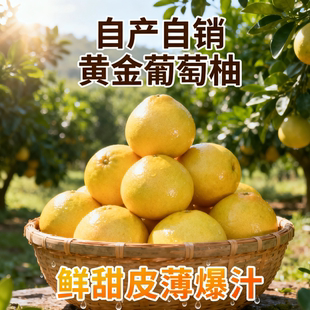 浙江衢州老树一号新品种柚子非福建葡萄柚当季新鲜现摘爆汁黄心柚
