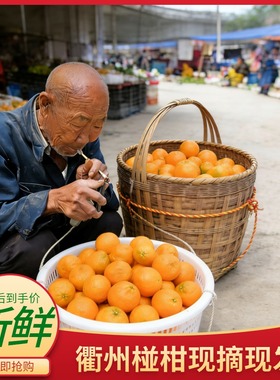 活动精选衢州椪柑新鲜橘子自家种植绿色健康孕妇水果精品橘子