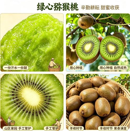 江山徐香猕猴桃新鲜水果奇异果