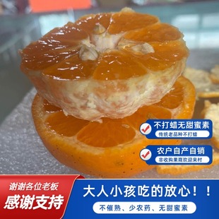精品衢州椪柑优选果自家种植当季水果孕妇橘子绿色健康桔子