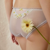 Сексуальные милые трусы, хлопковое нижнее белье, французский стиль