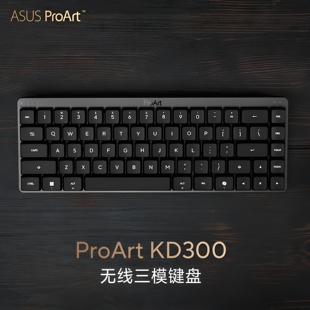 华硕ProArt KD300三模无线RX LP矮光轴键盘65配列小配列