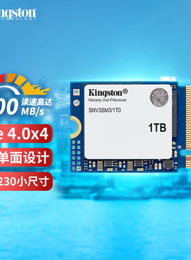 金士顿SSD固态硬盘NV3 2230掌机版M.2 1/2T适配掌上游戏机笔记本