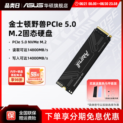 金士顿FURY野兽PCIE5.0 1T/2T/4TB M.2笔记本台式电脑固态硬盘ssd