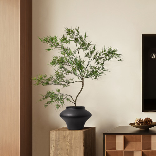 仿真绿植羽毛枫桌面盆景装饰摆件