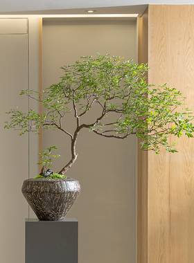 仿真绿植新中式茶室桌面植物盆景