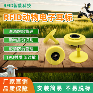 B电子耳标 能繁母猪电子耳标 FDX HDX 猪耳标134.2KHZ EM4305