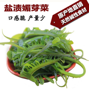 山东荣成特产 新鲜盐渍媚芽菜 裙带菜芽 海带芽非干货 250克