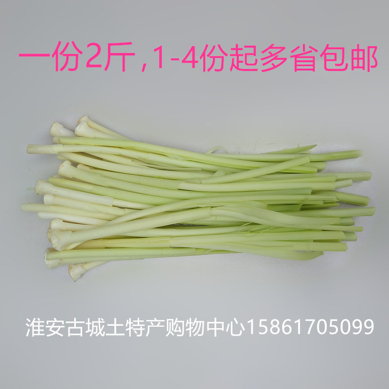 当天新鲜蒲菜时令野菜茭白淮安特产蒲菜蒲笋蒲儿菜净菜1000克酒店