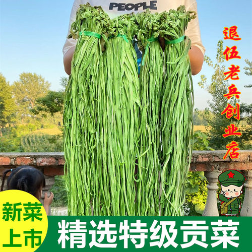 整箱精选5斤贡菜新货苔干苔菜农家土特产脱水蔬菜菜火锅饭店包邮