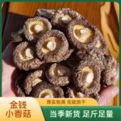 2025新货金钱小香菇金钱菇批发干货肉厚无根净重珍珠金钱蘑菇冬菇