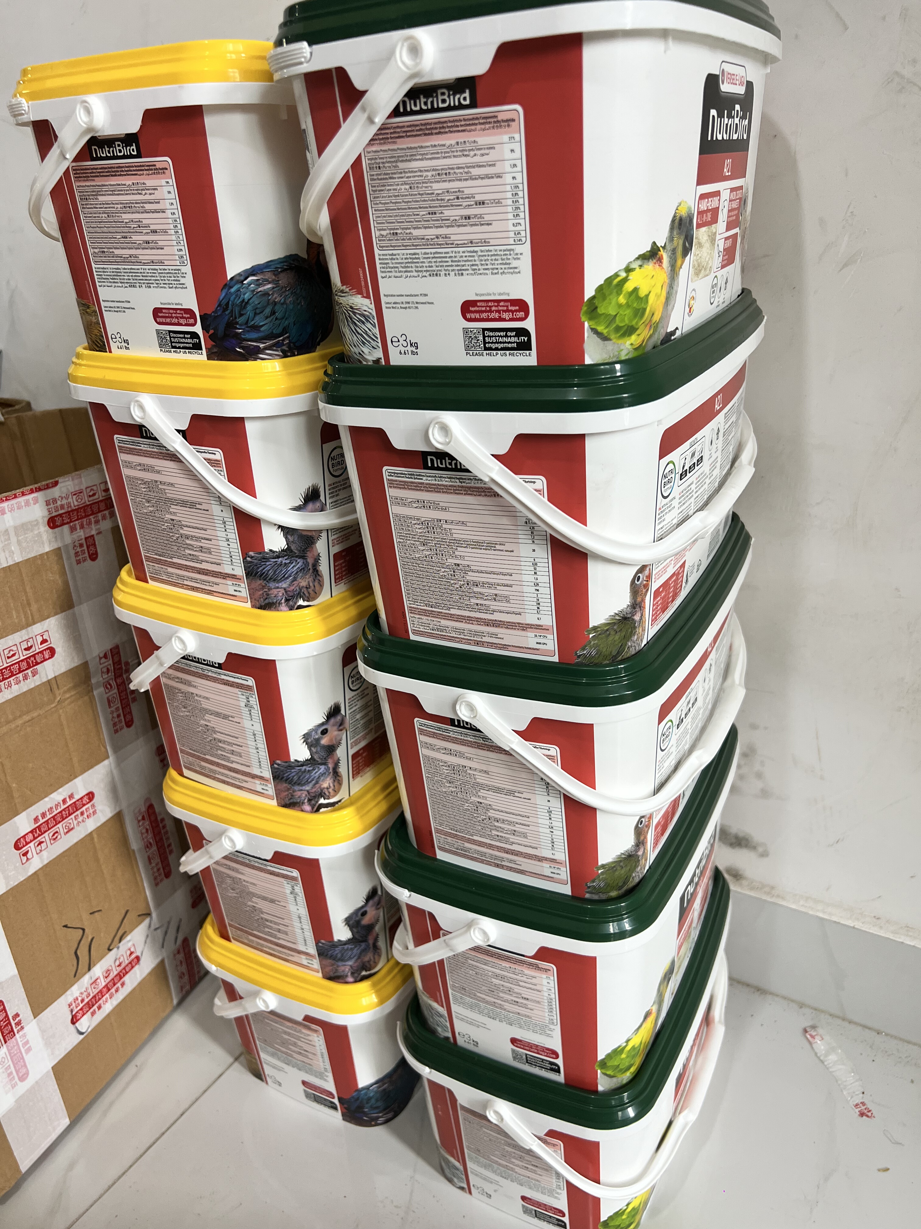 比利时鹦鹉奶粉A21A19鹦鹉幼鸟奶粉原装进口正品