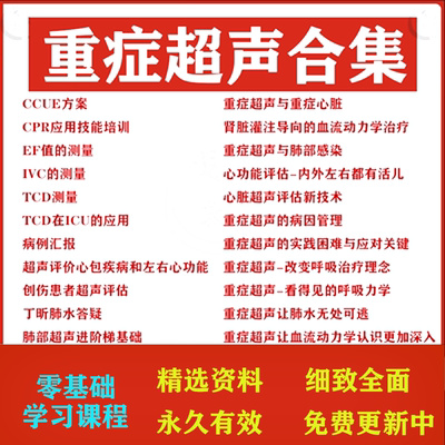 重症超声教学视频教程理论实操培训班讲解课程心脏肺部肾脏B超