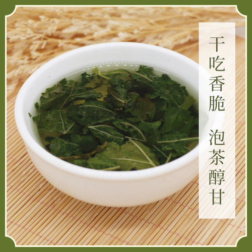 万物本草桑叶干吃的高原茶人参