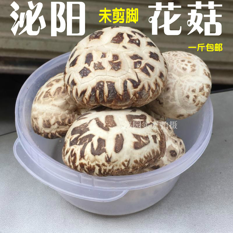 45.8一斤包邮泌阳花菇干货干香菇美味菌菇冬菇蘑菇土特产500G-封面