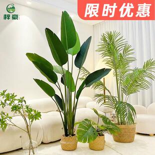 Simulation green plant large indoor potted decoration tree