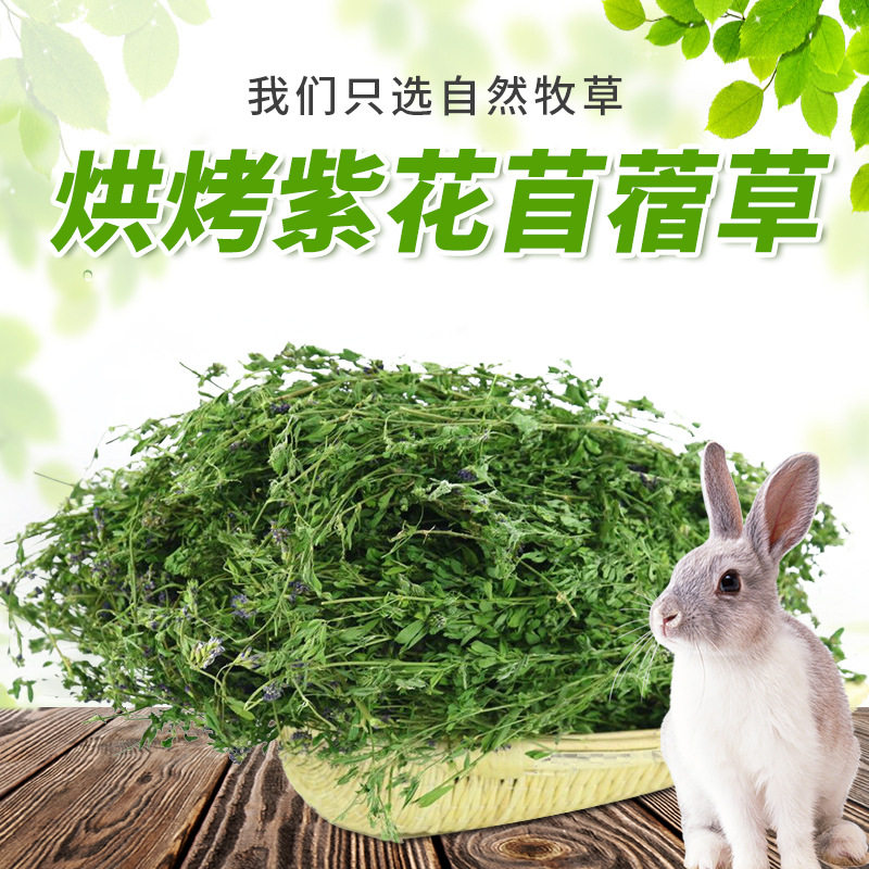 紫花苜蓿草兔草兔粮兔子干草龙猫吃的牧草饲料包邮豚鼠荷兰猪粮食