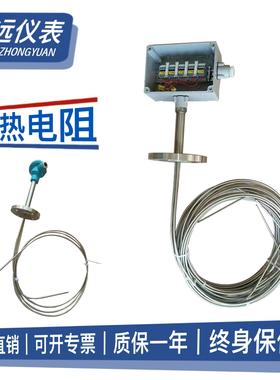 WRNK-430-130D多点多通道热电偶电阻K型温度传感器铠装式测温探头