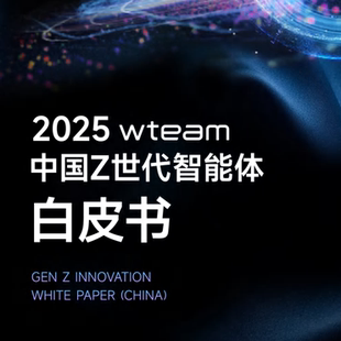 2025中国Z世代智能体白皮书发展现状需求分析投资估值逻辑报告